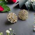Ad Navya studs