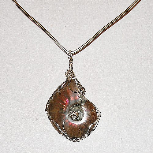 Ammonite pendant on a collar against a white background