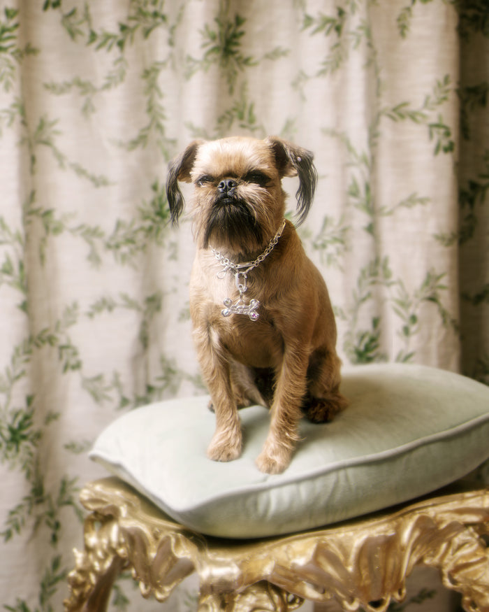 Bedazzled Bone Pet Tag