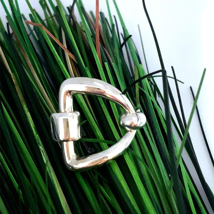nature inspired photo of a silver equestrian themed ring
