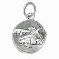 Fall Season Tree Leaves Charm