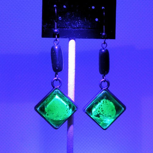 Glow in the Dark Earrings