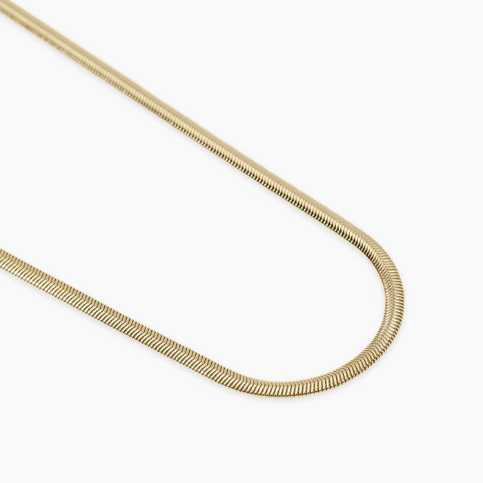 Collana dorata con catena snake