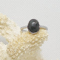 Larvikite Ring