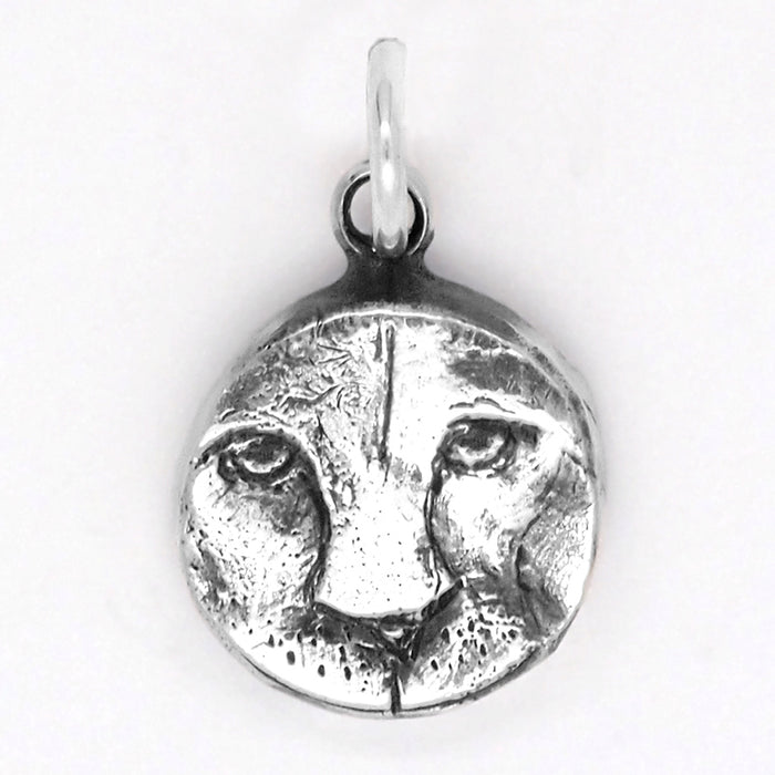 Leo Charm
