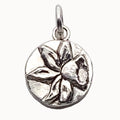 March │Daffodil Charm