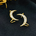 Nayaab Nyra Bugadi/Earclip