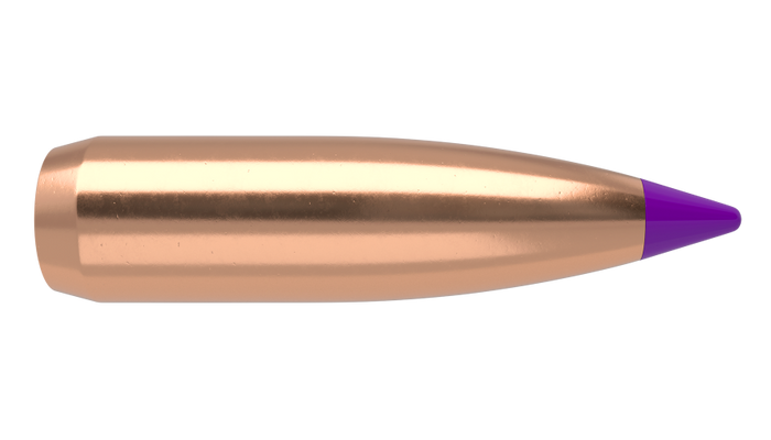 Nosler .243 Diameter 80 Grain Polymer Tip Ballistic Tip 100 Count Bullets