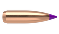 Nosler .243 Diameter 80 Grain Polymer Tip Ballistic Tip 100 Count Bullets