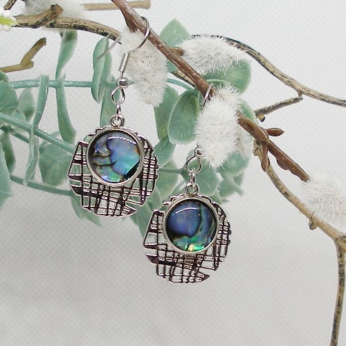 Paua Shell Dangle Earrings