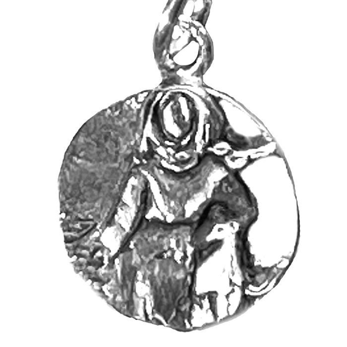 Saint Francis Charm