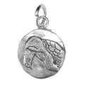 Sea Turtle Charm