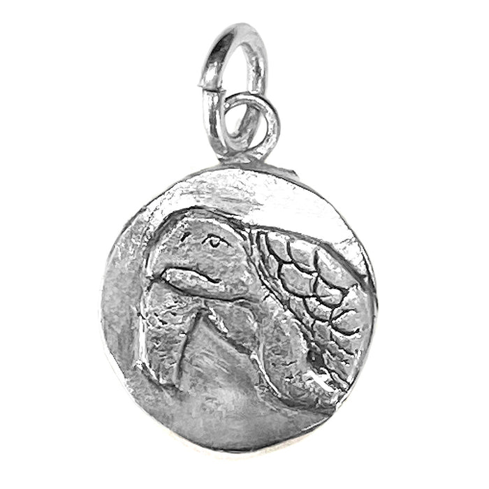 Sea Turtle Charm