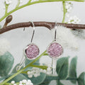 Sparkly Drop Earrings