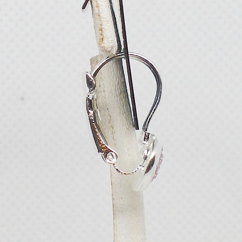 Sparkly Drop Earrings