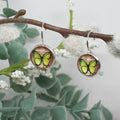 Butterfly-themed earrings on a branch with green leaves and white flowers.