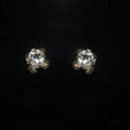 Pair of zircon stud earrings on a black background